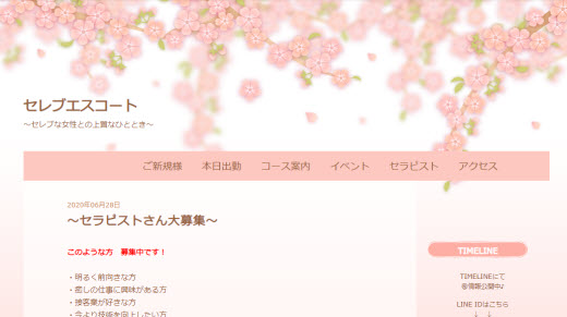 セレブエスコート