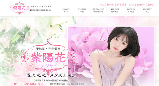 紫陽花 アジサイ