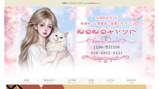 ぬるぬるキャット